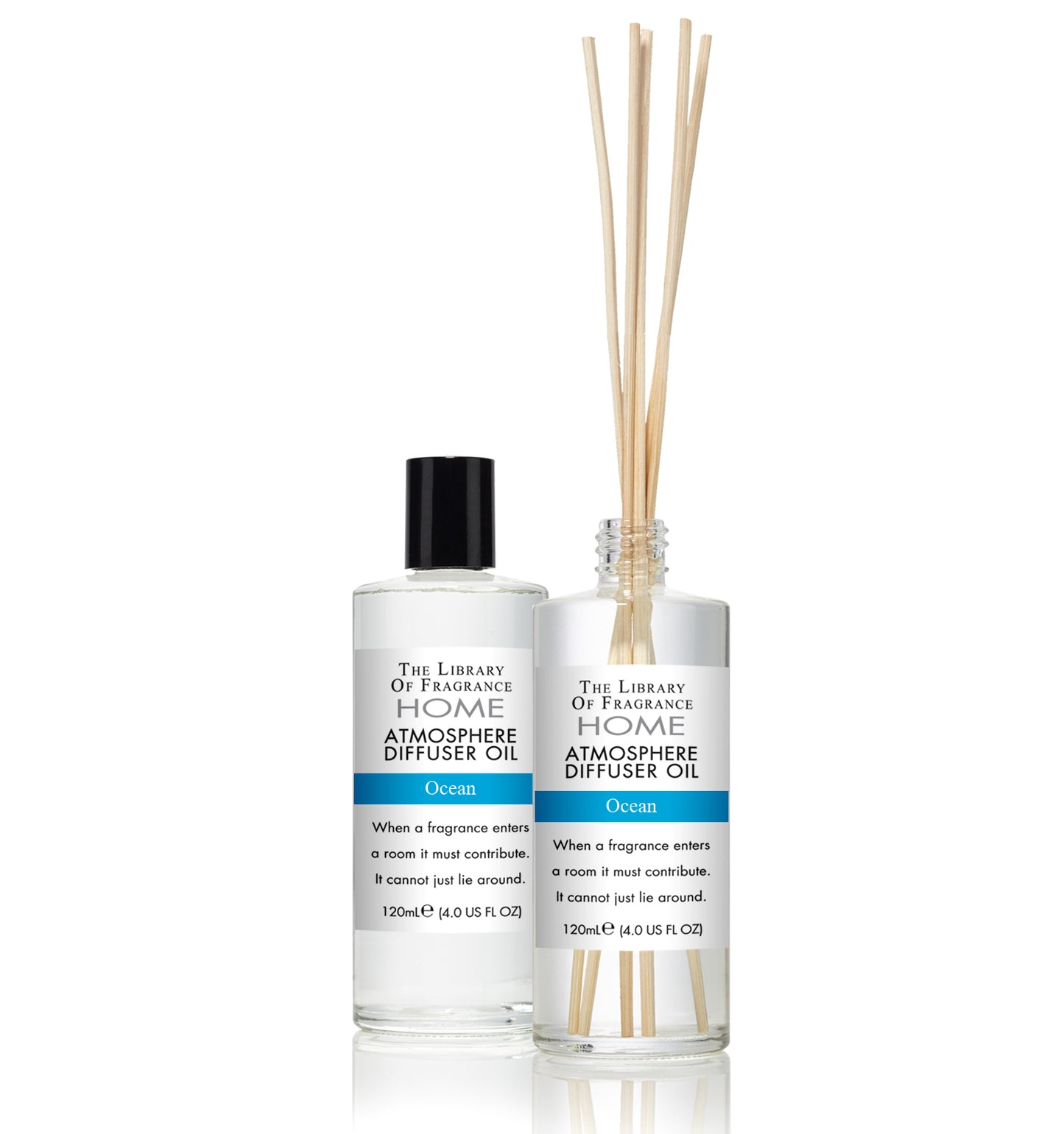 The Library Of Fragrance Ocean Diffuser Oil 120ml AKA Demeter Fragrance